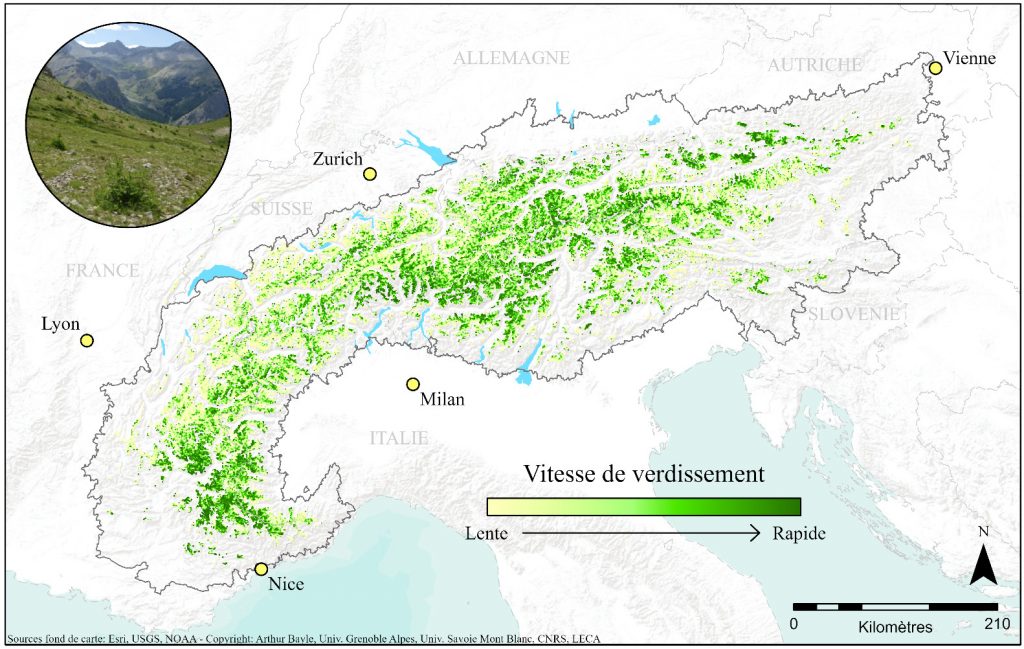 Mappa dell’intensità del rinverdimento nelle Alpi tra il 2000 e il 2020, ottenuta con l’analisi di dati satellitari - ARPA VDA