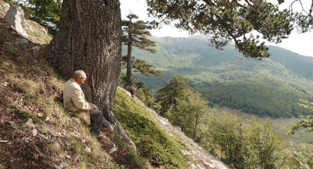 Foto di scena - pini loricati e altopiani