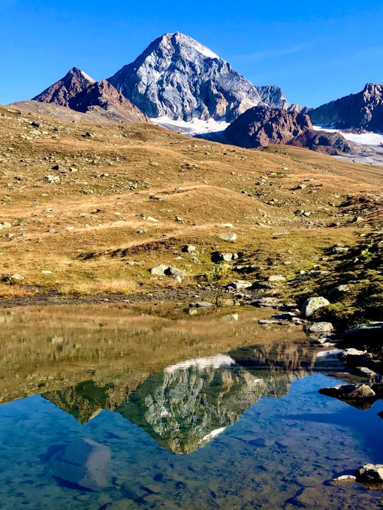 Il Gran Zebrù. Foto archivio Marco Confortola