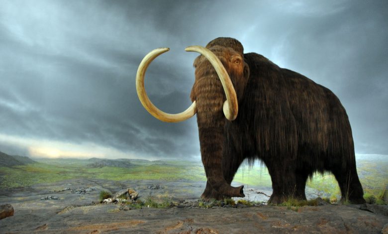 mammut, genetica, era glaciale