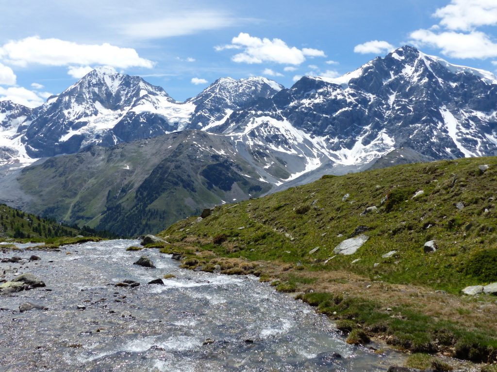 Parco dello Stelvio. Foto @ wikimedia 