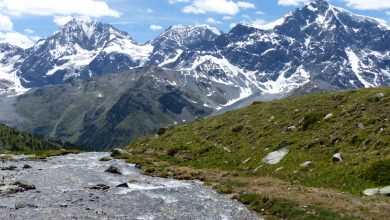 Parco dello Stelvio. Foto @ wikimedia 