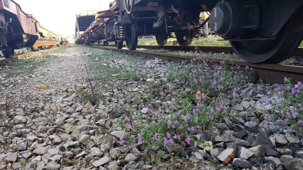 Foto Fondazione Museo Civico Rovereto 