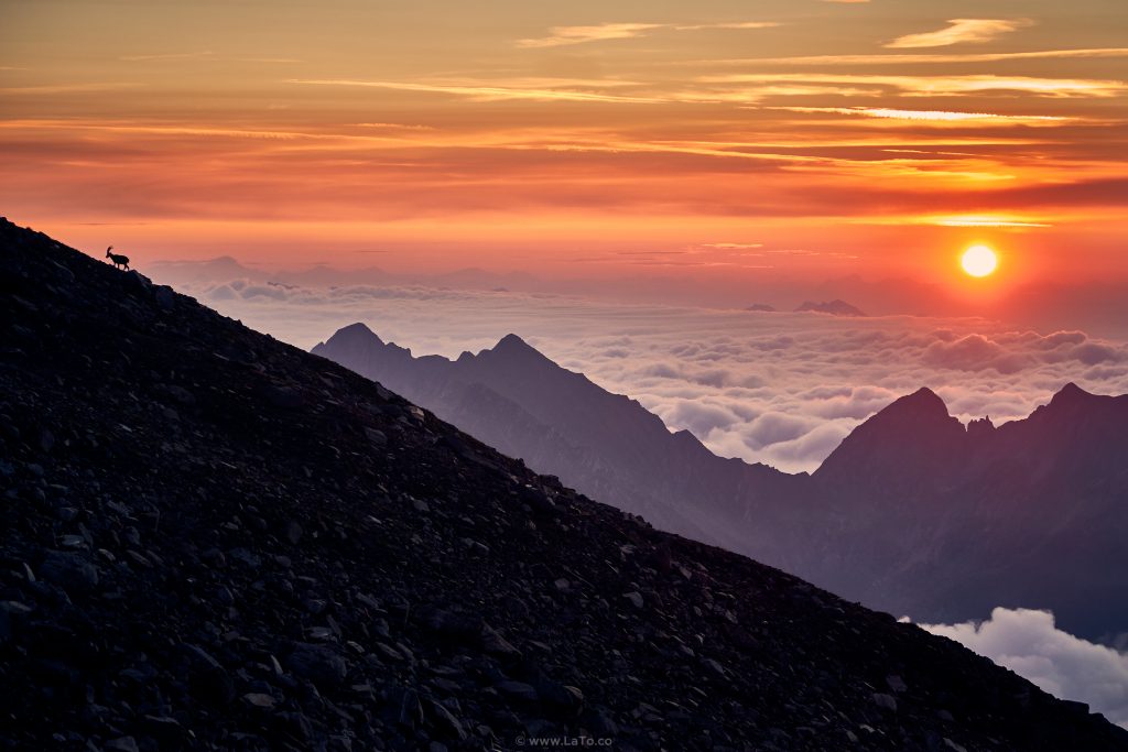 Foto Tommaso Lamantia