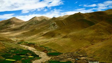 Photo of Un nuovo equilibrio nel Tibet sempre più verde