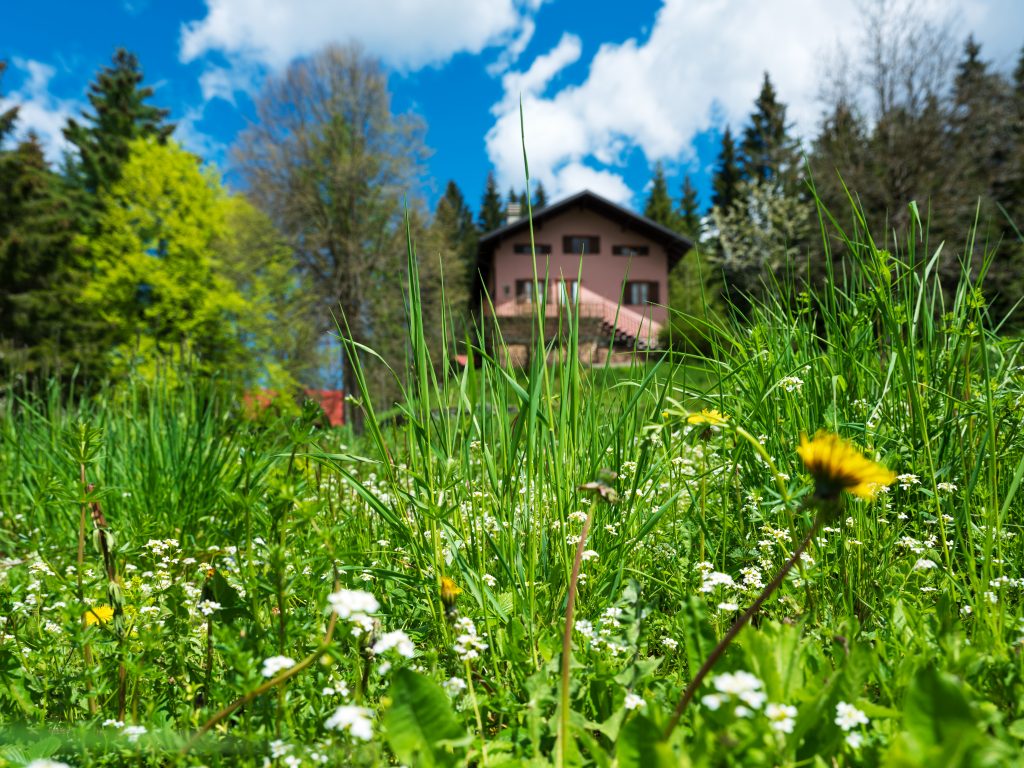 Casa di Mario Rigoni Stern. I prati di fronte alla casa e, sullo sfondo, l