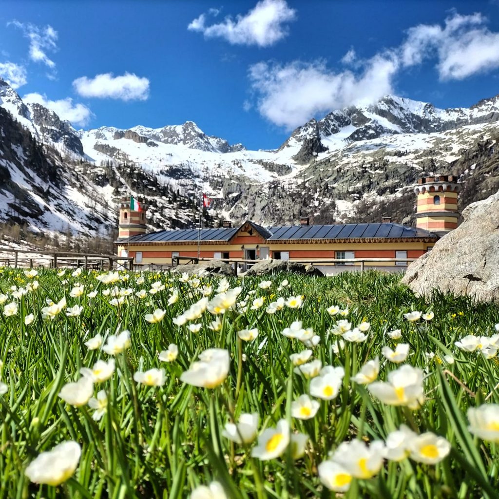 Foto Facebook Parco Alpi Marittime