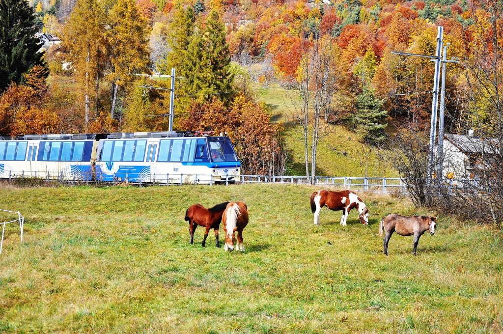 Foto FB Ferrovia Vigezzina-Centovalli