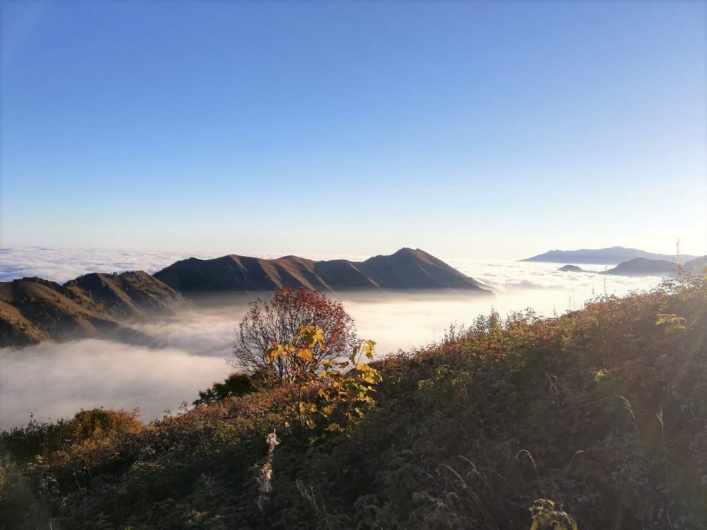 Foto Facebook Parco Alpi Marittime