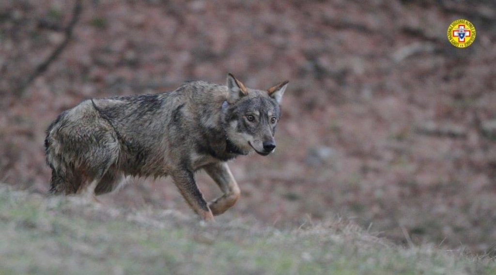 Foto FB Soccorso Alpino e Speleologico Emilia Romagna - CNSAS