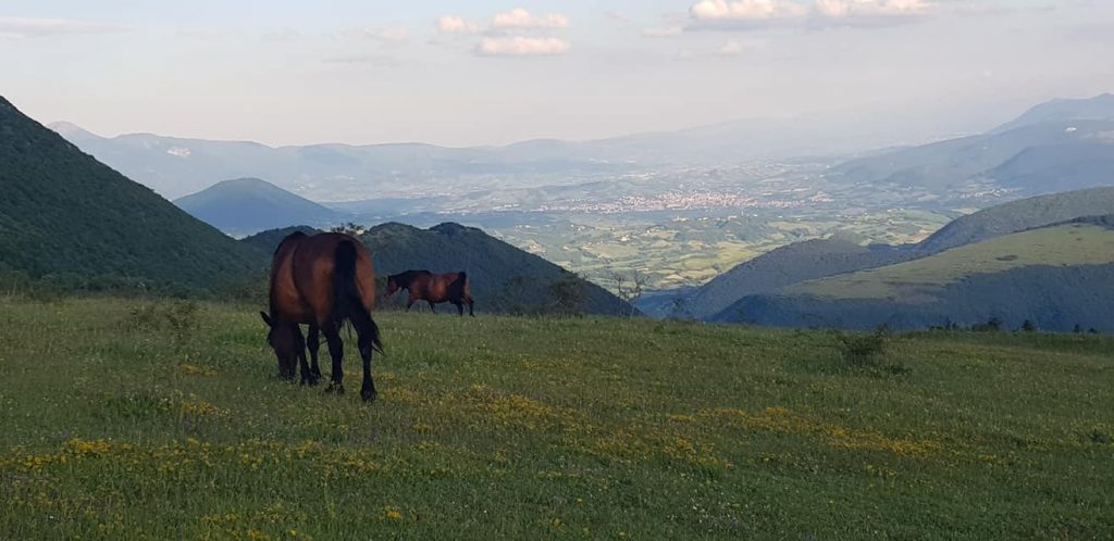 Monte Strega - Foto FB Pro Loco Sassoferrato