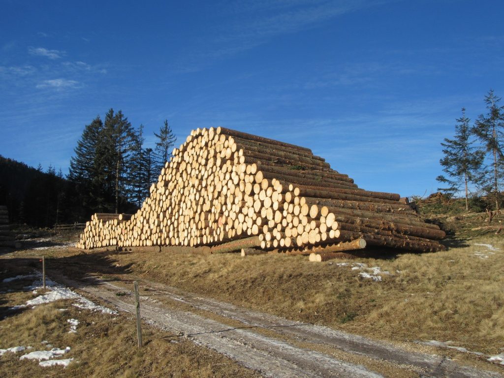 Lavori di sgombero post Vaia, 2019 - Foto ANSA/PROVINCIA DI BOLZANO