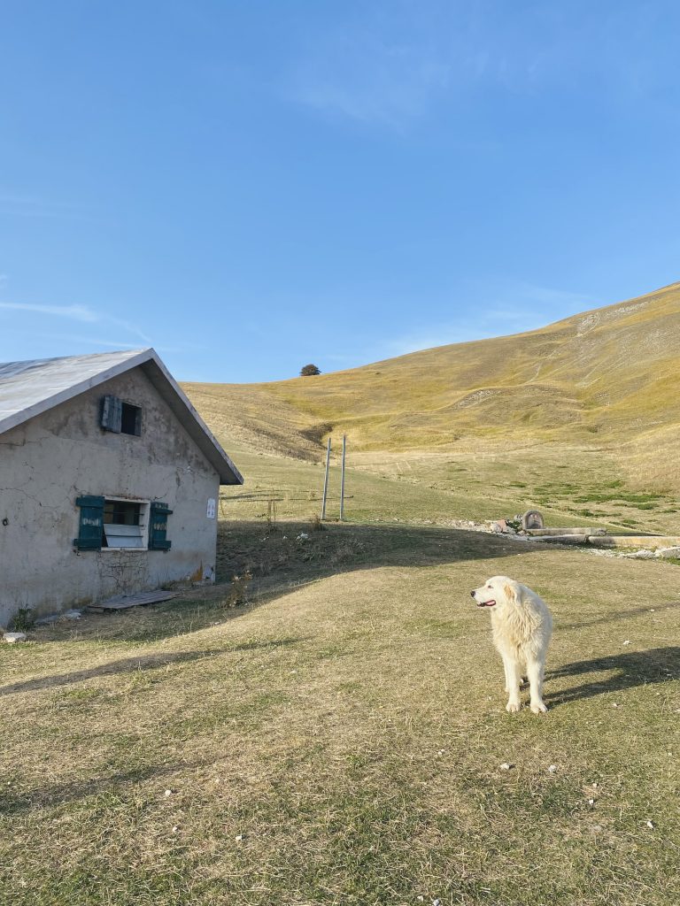 Foto Magic Mountains