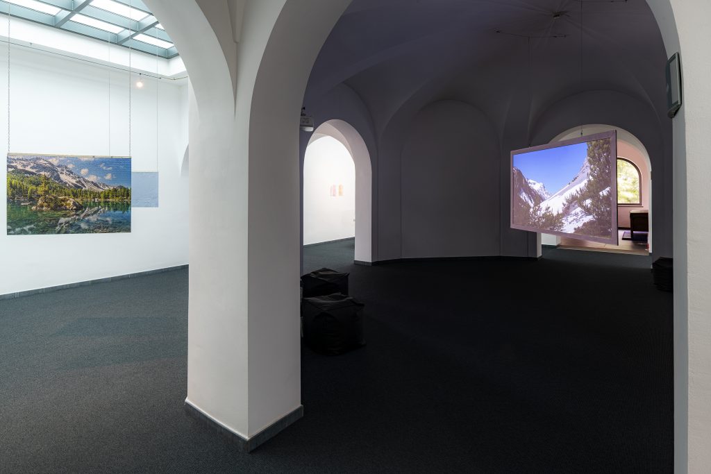 Ecophilia. Esplorare l’alterità, sviluppare empatia, veduta della mostra al Museomontagna, 2021
Courtesy Museomontagna
Crediti fotografici: Mariano Dallago