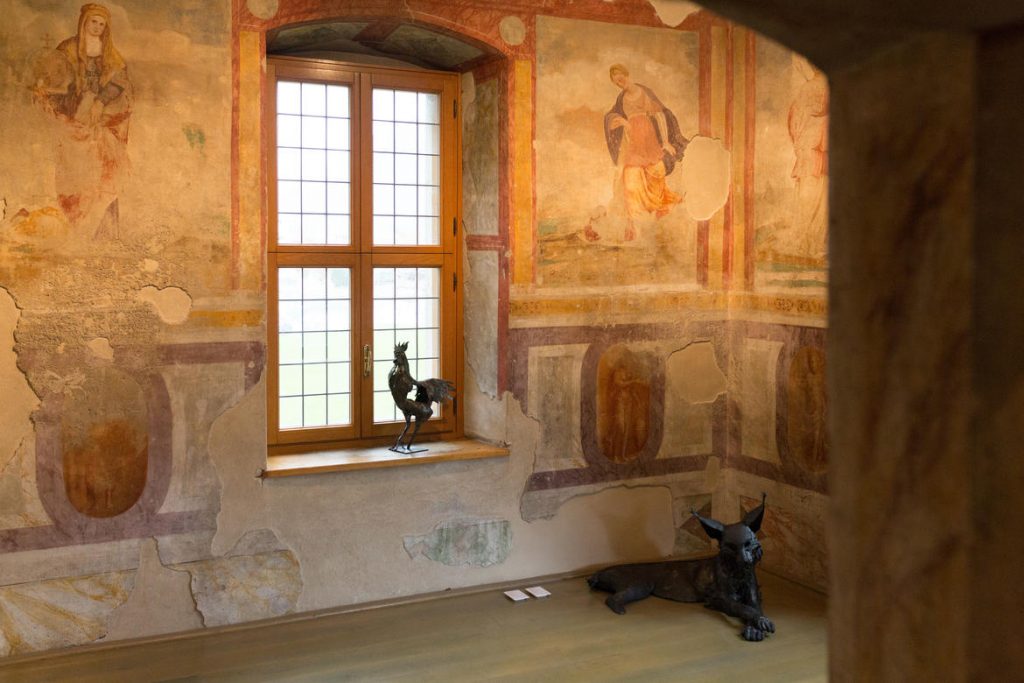 Foto @ Archivio MUSE Museo delle Scienze - Giulia Curti