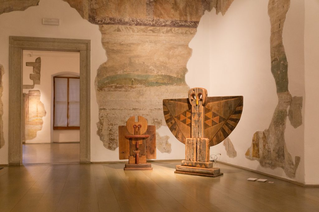 Foto @ Archivio MUSE Museo delle Scienze - Giulia Curti