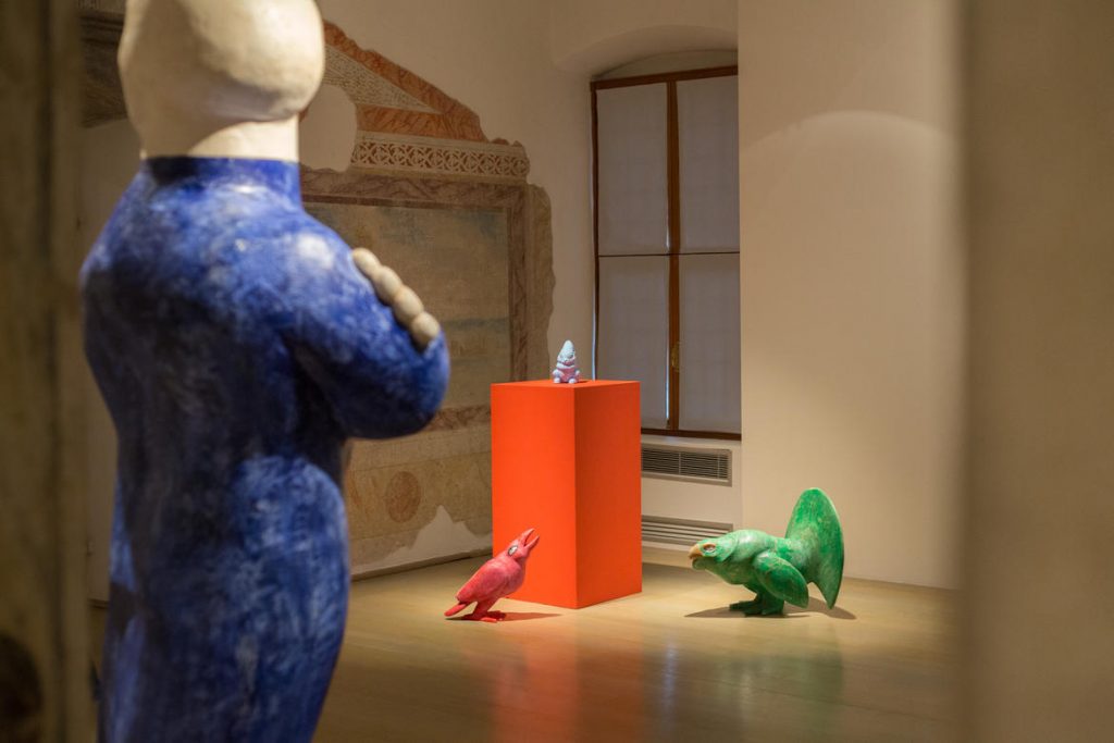 Foto @ Archivio MUSE Museo delle Scienze - Giulia Curti