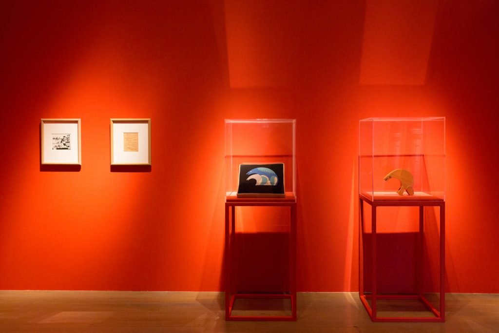 Foto @ Archivio MUSE Museo delle Scienze - Giulia Curti