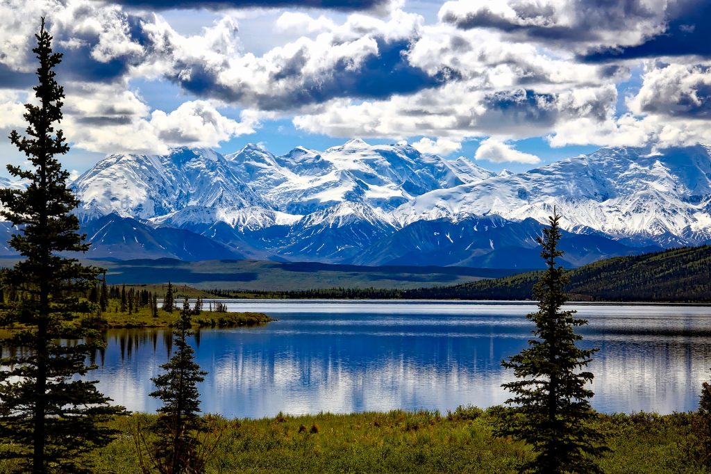 Denali National Park - Foto David Mark @Pixabay