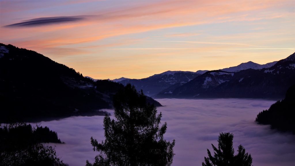 Foto Ann Nielsen @Pixabay