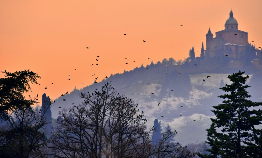 Santuario della Madonna di San Luca, Bologna - Foto Stefano Zocca @Unsplash