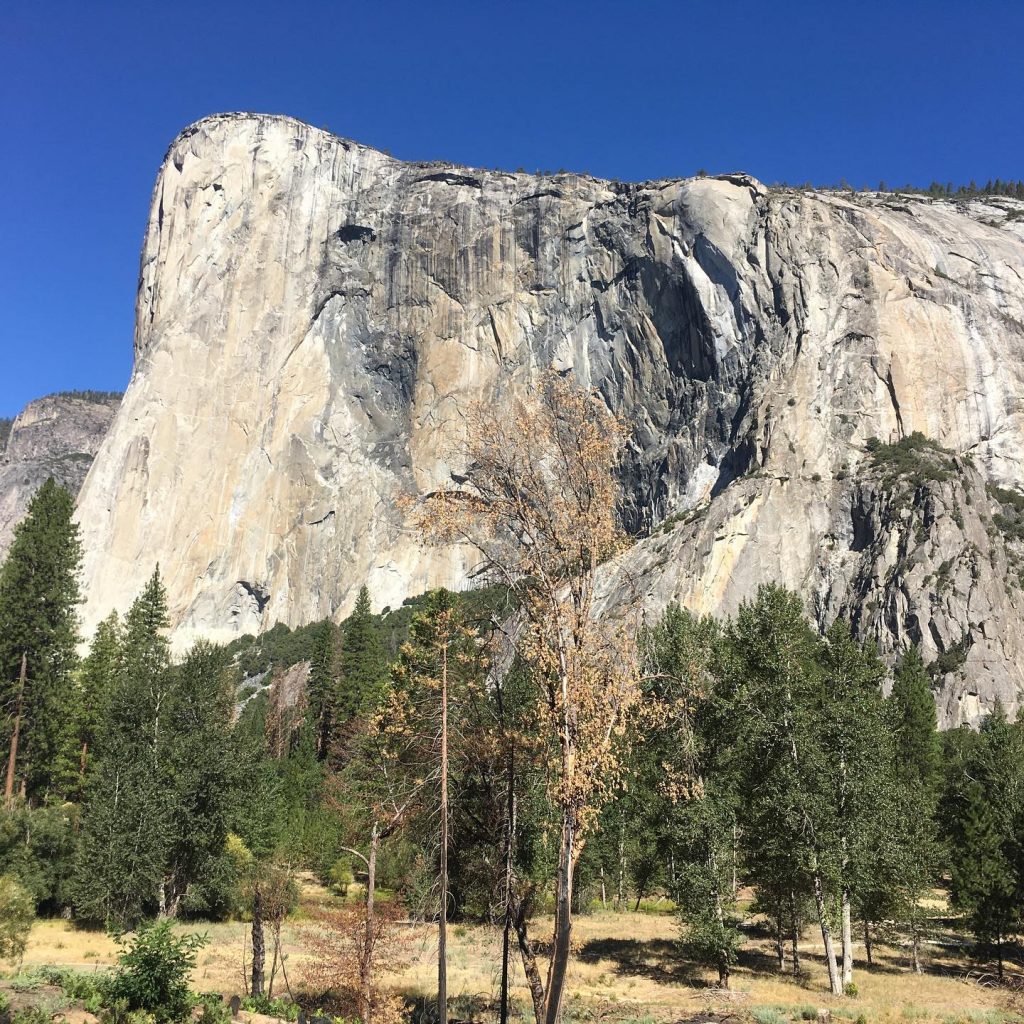 Foto FB Dierdre Wolownick-Honnold