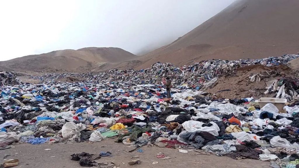 Foto Instagram Ecofibra Chile