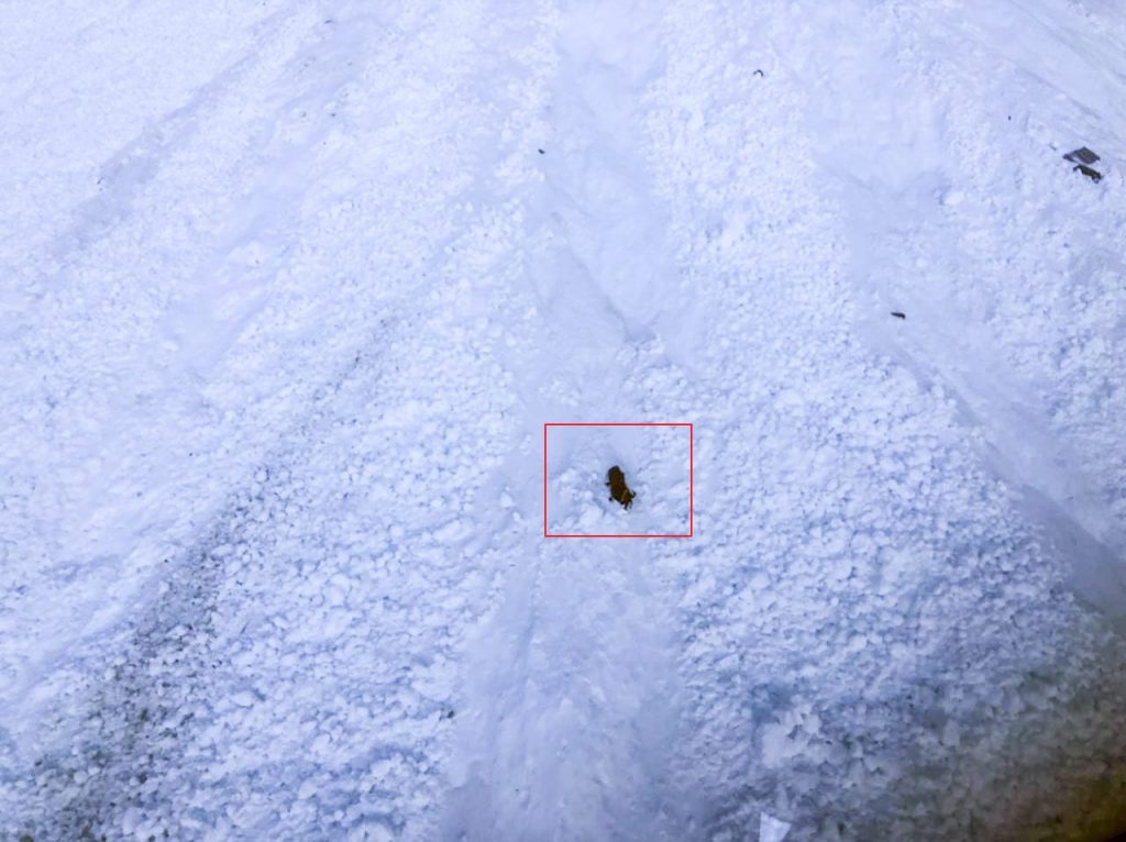 Ricerche dei tre dispersi. Foto @ Kailash Helicopter Services