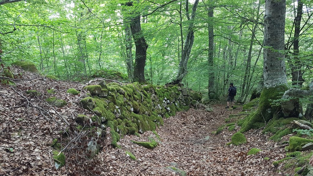 Parco Nazionale Appennino tosco-emiliano - Foto Wikimedia Commons @Opi1010