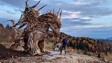 Photo of Dagli schianti di Vaia nasce il drago di legno più grande d’Europa