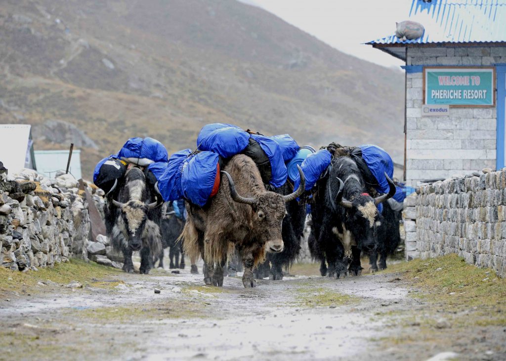 Foto di Enrico De Santis