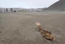 Photo of Le McMurdo Dry Valleys: un deserto marziano nel cuore dell’Antartide