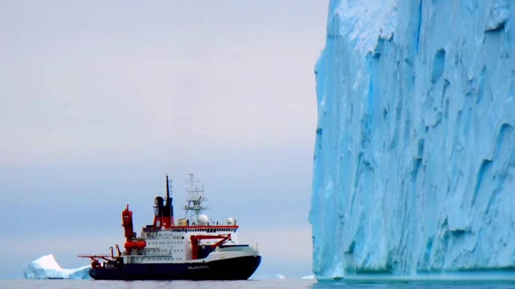 Frame del video "An ancient Antarctic rainforest" Youtube @Nature Video