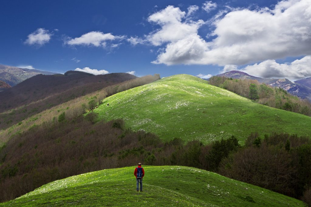 Parco Nazionale dell