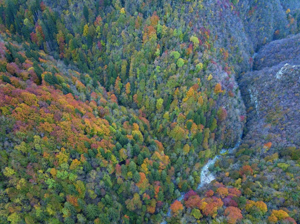 La Val Parina, la selvaggia laterale della val Brembana conserva la memoria delle opere dell’uomo. Disabitata dagli anni 60, diventerà la prima area wilderness delle Orobie. Foto ISTOCK/GETTY