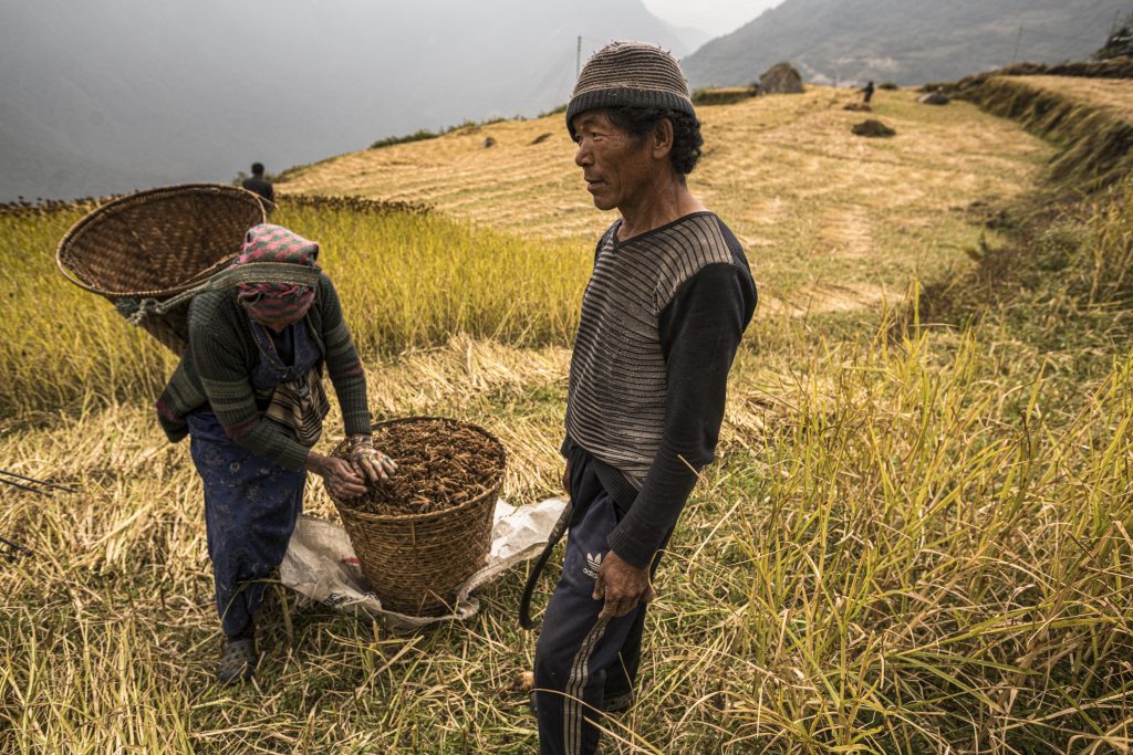 Cuore Attivo Monte Rosa in Nepal nel 2018. Foto Niccolò Aiazzi