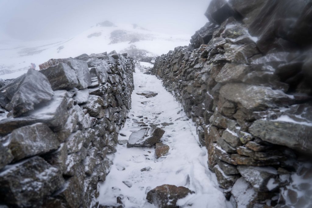 © Parco Nazionale dello Stelvio