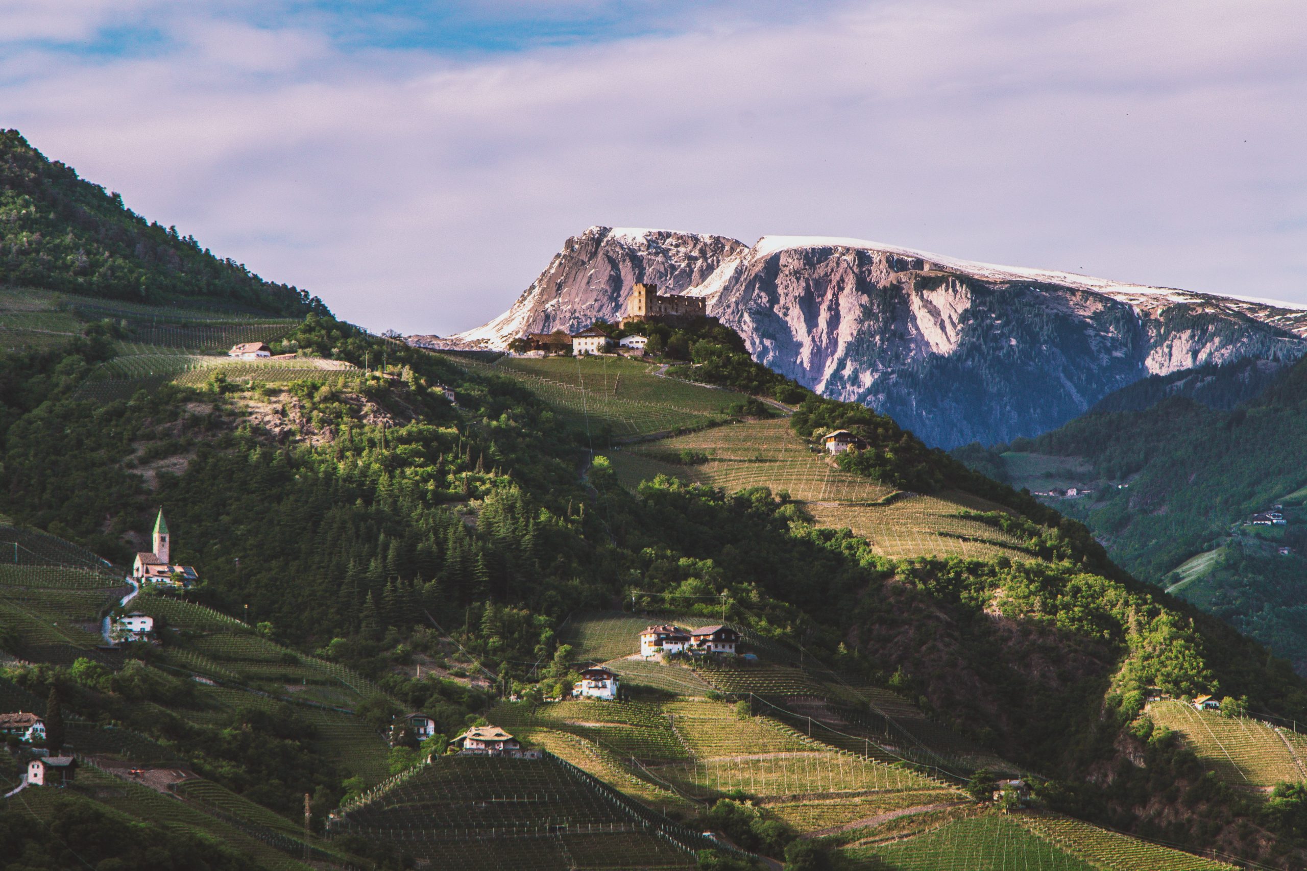 Foto via Unsplash - Gian Luca Pilia