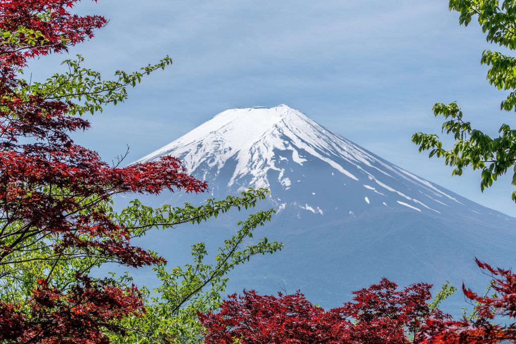 Il Monte Fuji.