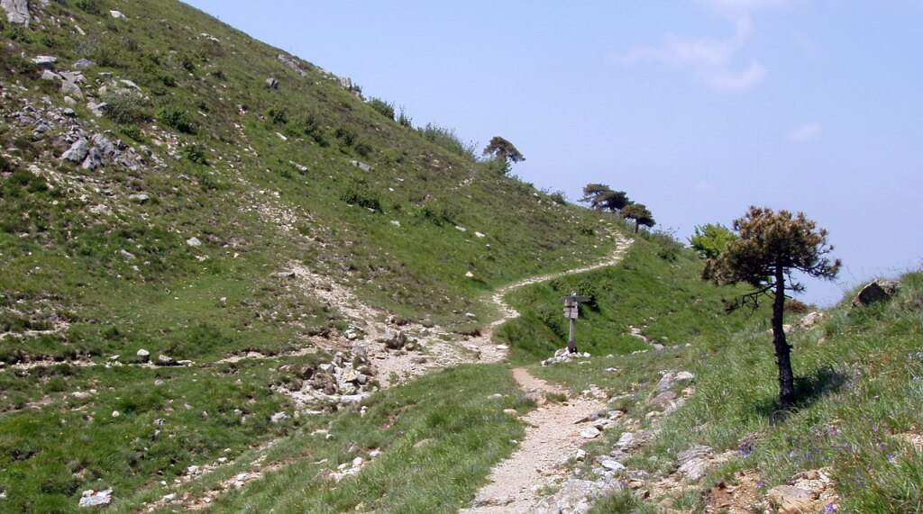 Passo Mezzano, Alta Via dei Monti Liguri - Foto Wikimedia Commons @Pampuco