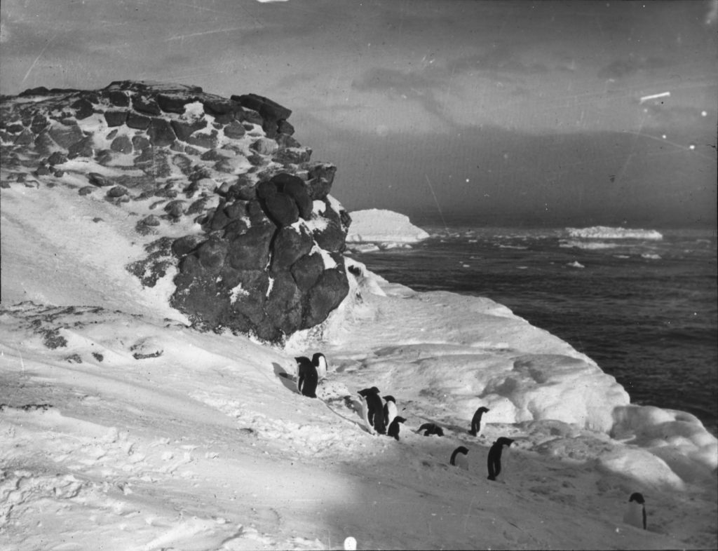 Spedizione Nimrod - Foto Wikimedia Commons @ Archive of Alfred Wegener Institute for Polar and Marine Research Ph. Henry Shackleton