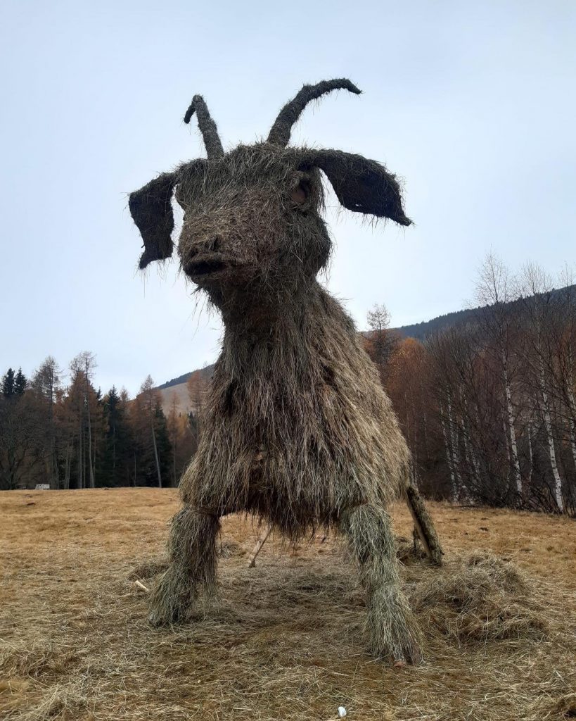 Capra Gigante - Foto FB Monte Bondone Green Festival