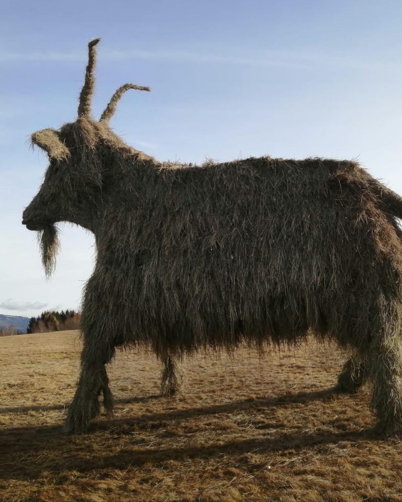 Capra Gigante - Foto FB Monte Bondone Green Festival