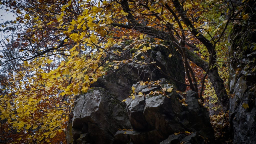 Foto @ Adam Ondra FB