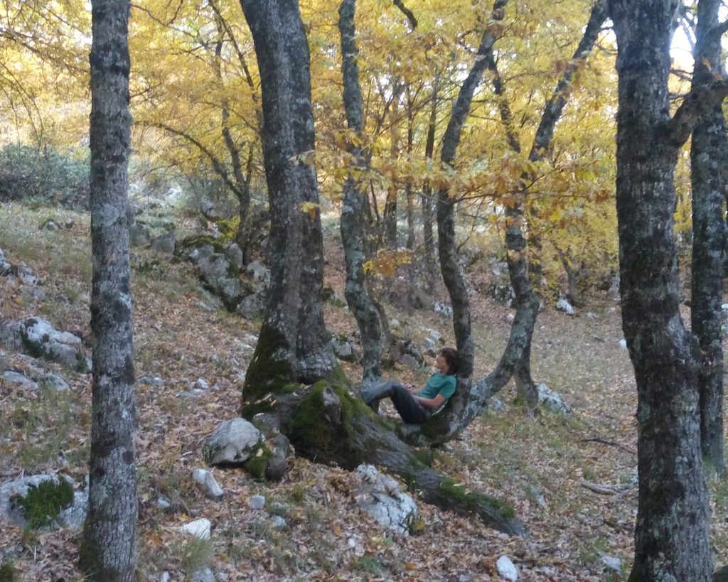 Foto FB Parco Nazionale d