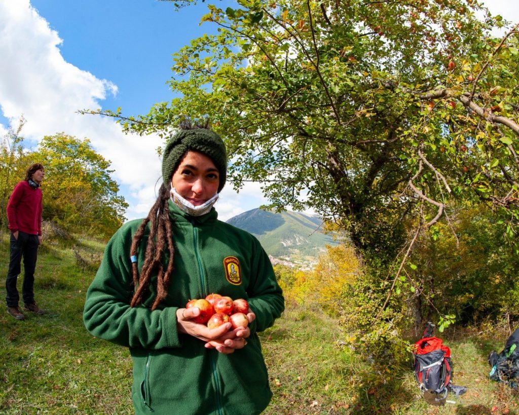 Foto FB Parco Nazionale d