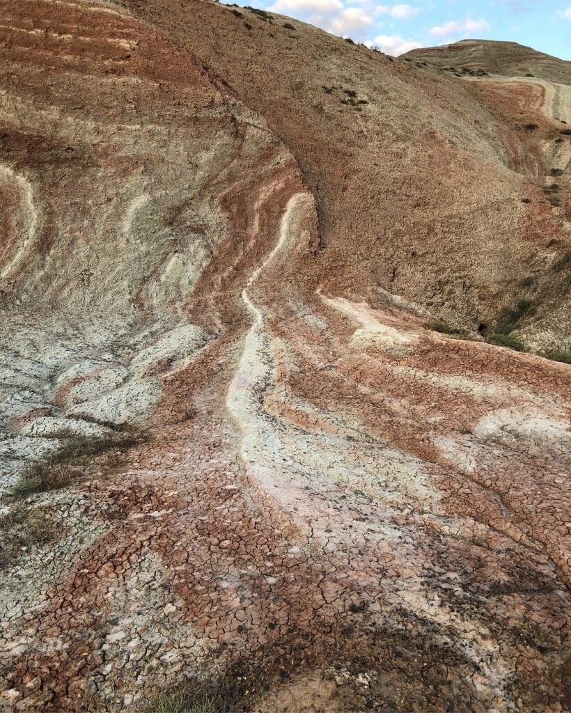 Foto Instagram Alida Györy @follow_alida