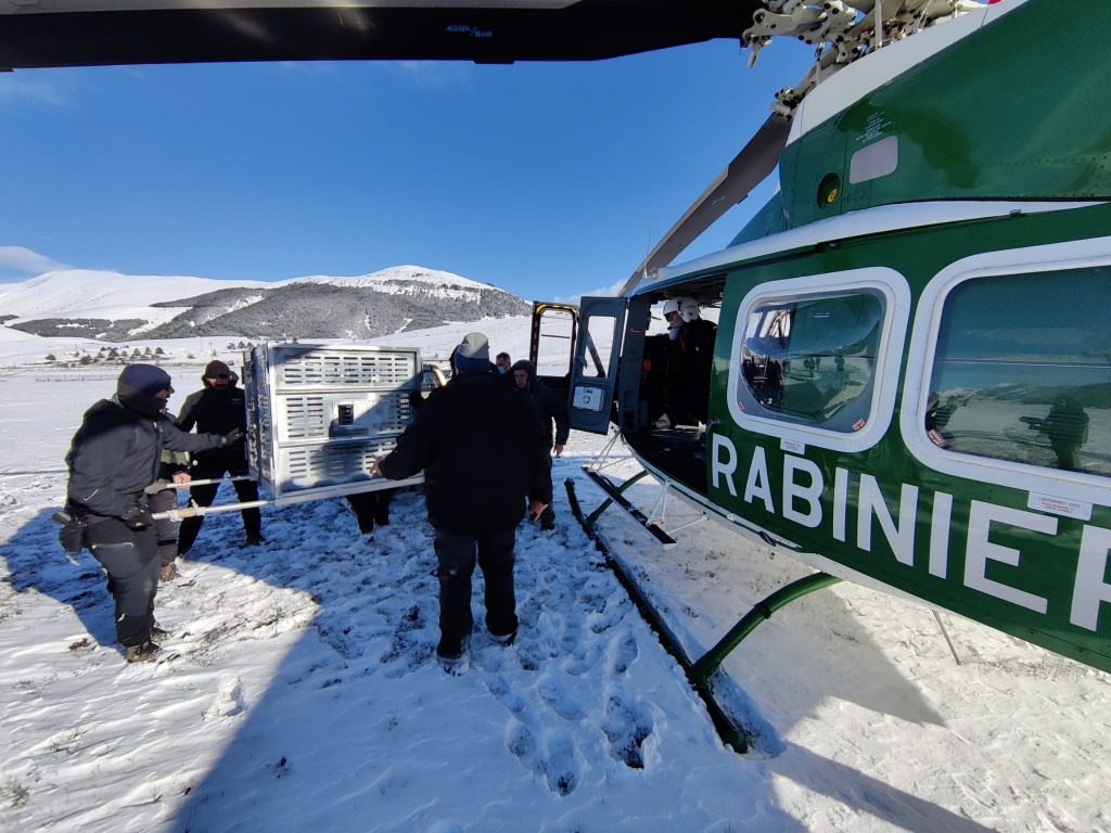 7 dicembre 2021, trasferimento di Juan Carrito