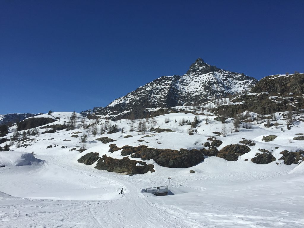 Alpe Foto via Guide alpine Lombardia 
