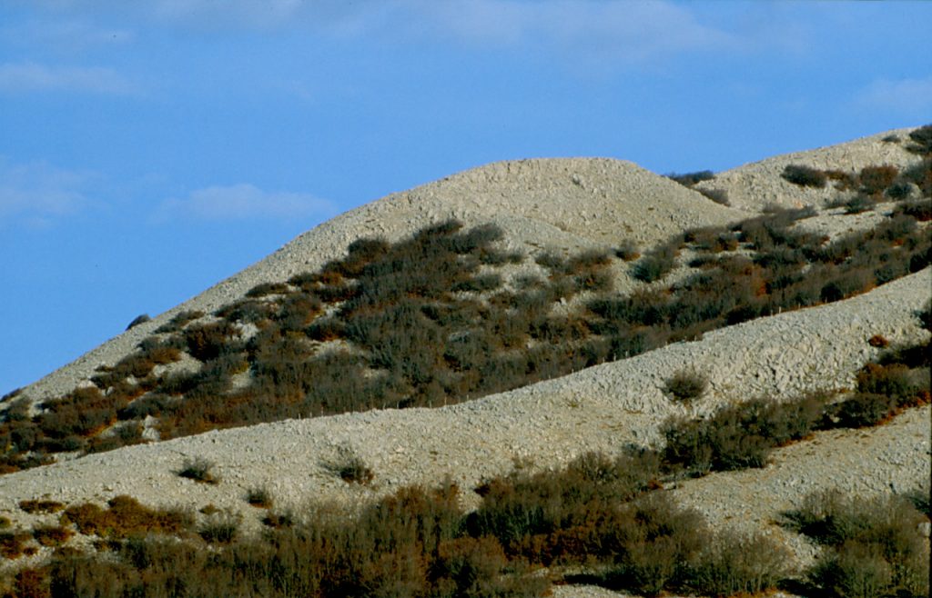 Faggeta residua sulle Madonie - Foto Wikimedia Commons @Carlo Columba